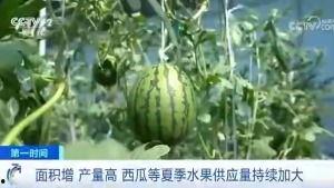 灵性吃瓜群众广告,广告背后的神秘力量
