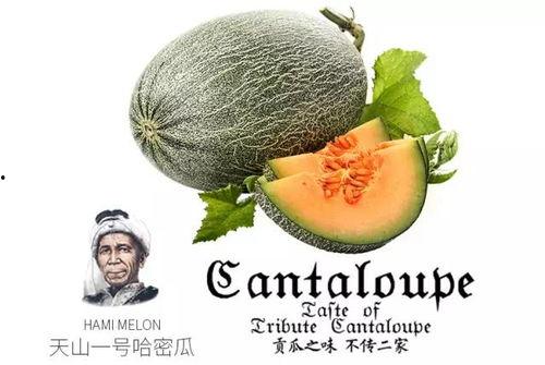 吃瓜情报号,网络舆论场中的风向标