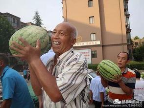 吃瓜圆满,揭秘娱乐圈幕后故事
