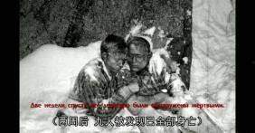 雪山中立吃瓜,揭秘神秘立吃瓜背后的故事