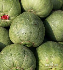 空腹吃烧瓜,养生又美味,揭秘传统美食的独特魅力