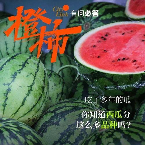 神秘的吃瓜,揭秘背后惊人真相