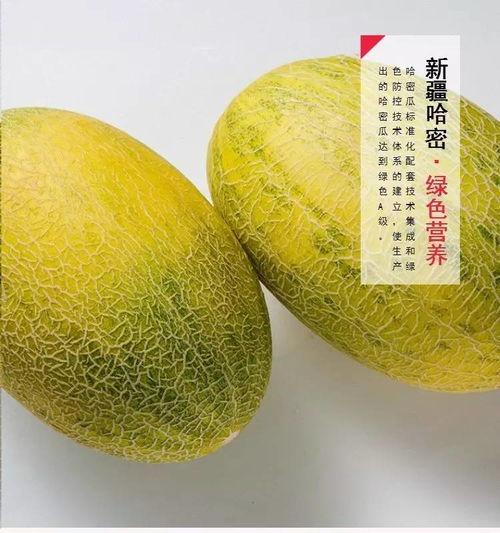 新疆贡瓜怎么吃,解锁美味新体验