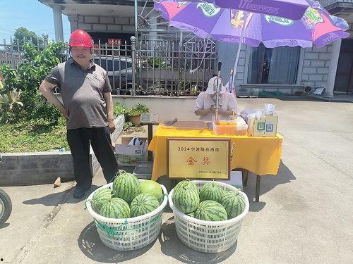 校园吃瓜集市事件,揭秘校园社交现象背后的真相