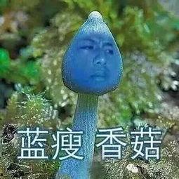 酱紫吃瓜,揭秘娱乐圈幕后真相