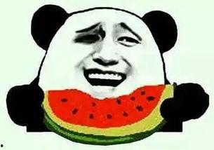 酱紫吃瓜,揭秘娱乐圈幕后真相