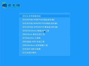 吃瓜群众电脑软件