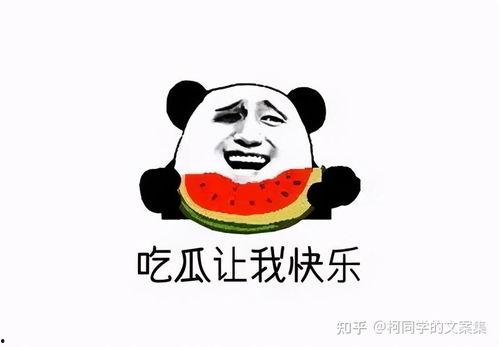 吃瓜群众之吃瓜,揭秘网络热议背后的“瓜”文化现象