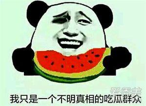 吃瓜群众之吃瓜,揭秘网络热议背后的“瓜”文化现象