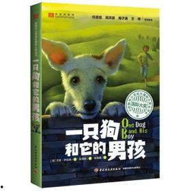 小狗吃瓜文案男孩,小狗与男孩的欢乐食瓜记