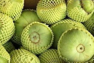 吃瓜忻州